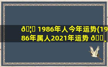 🦟 1986年人今年运势(1986年属人2021年运势 🕸 及运程)